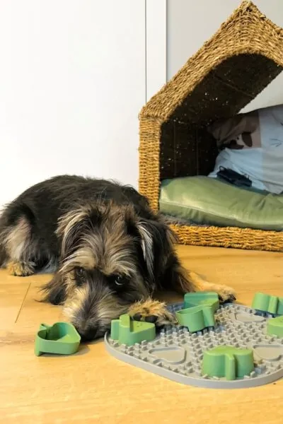 EcoSmart™ 3-in-1 Mat by Fiboo – Lick, Sniff & Nosework Trainer - Image 2