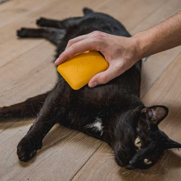 Fiboo Soft Brush – Eco-Friendly Grooming Brush for Cats & Dogs with Sensitive Skin - Image 4